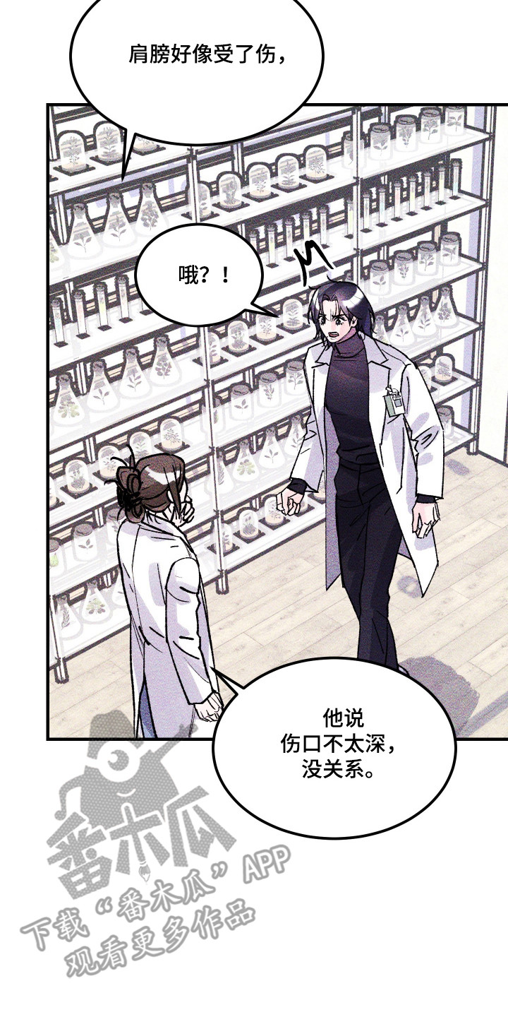 紫罗兰协议漫画,第38章：重返地面4图