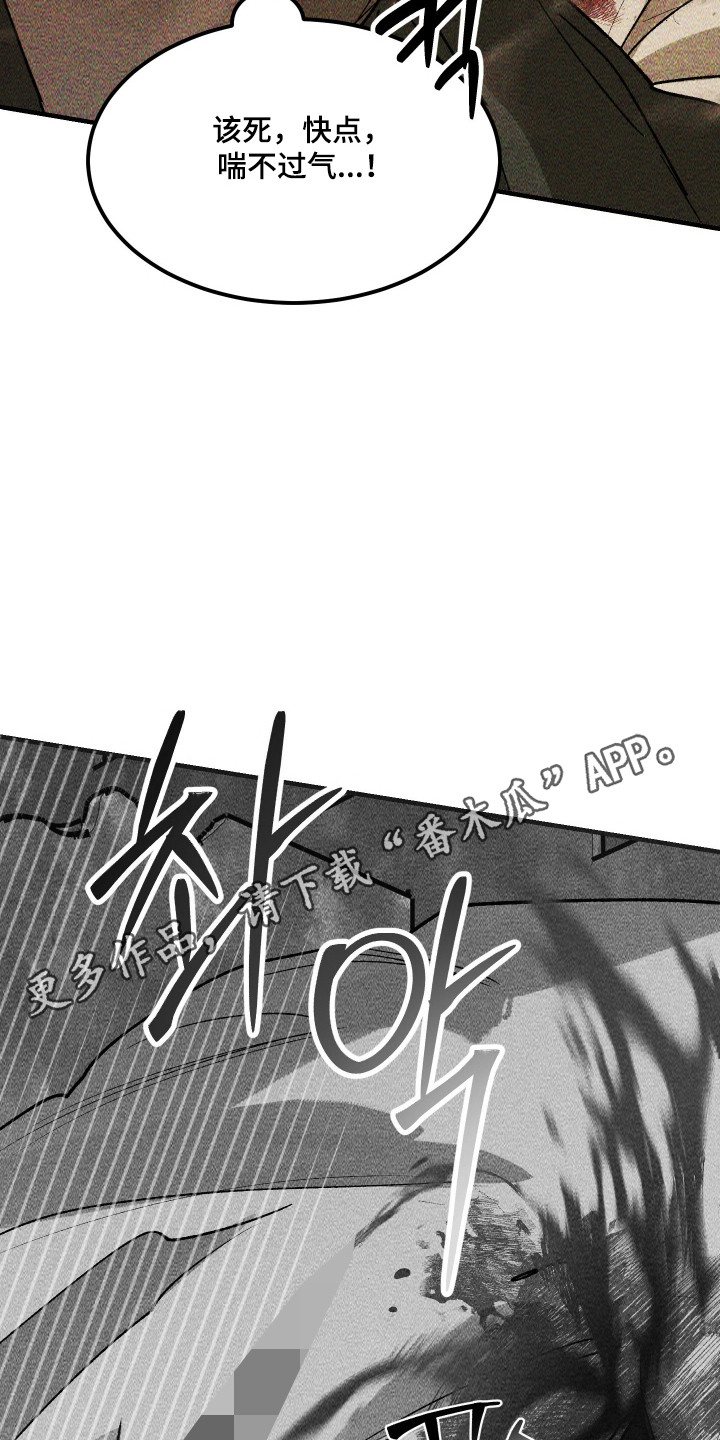 紫罗兰协议漫画,第37章：没有反应4图