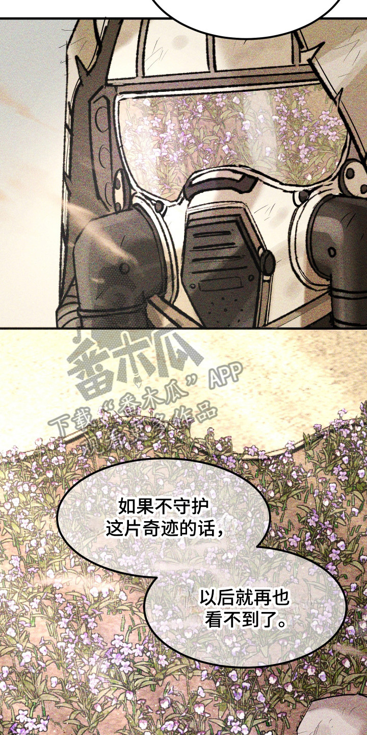 紫罗兰花的寓意和象征漫画,第39章：真是万幸5图