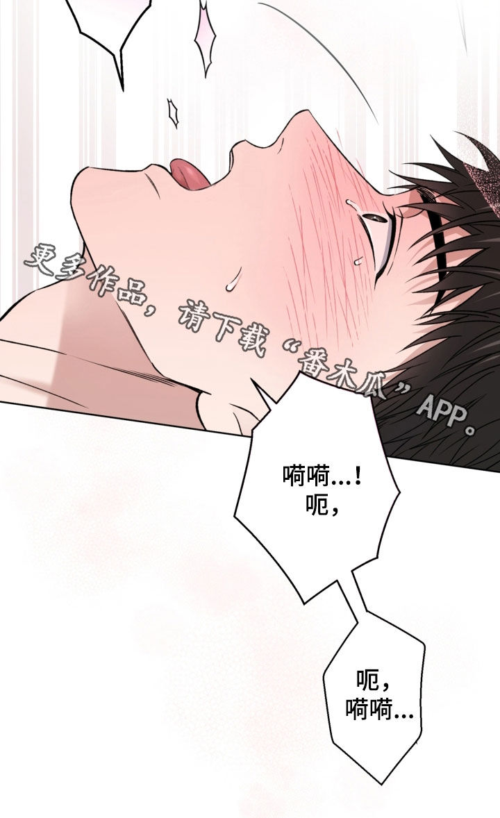 猛兽育儿书漫画,第52章：你在干什么3图