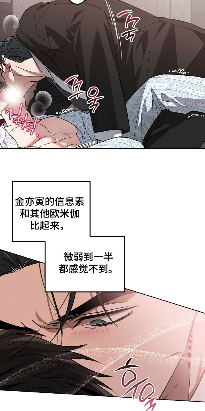 猛兽育儿书漫画,第52章：你在干什么4图