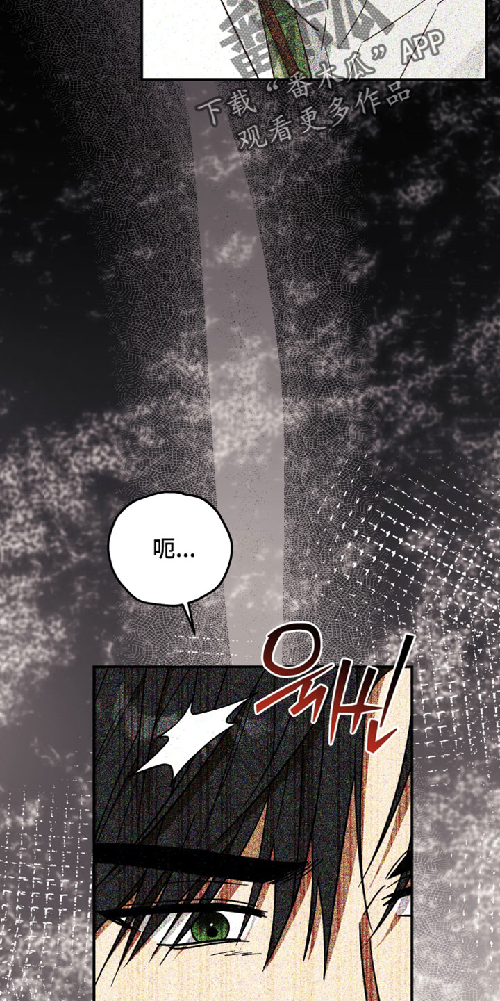 温控牢笼漫画,第31章：难得的机会2图