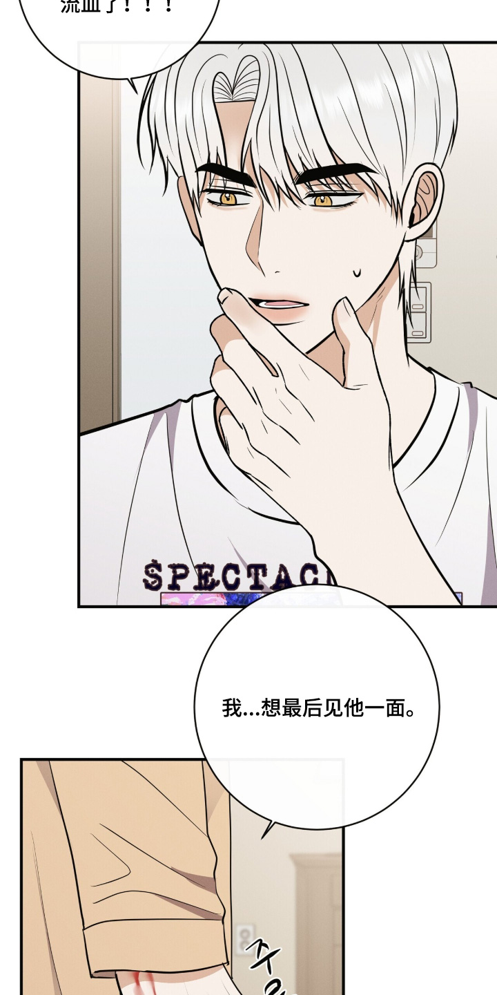 金主请上当内容简介漫画,第79章：想见一面4图