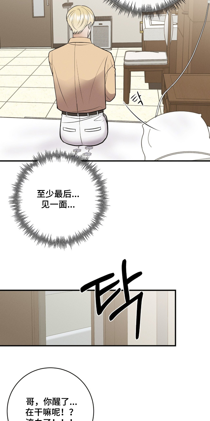 金主请上当内容简介漫画,第79章：想见一面3图