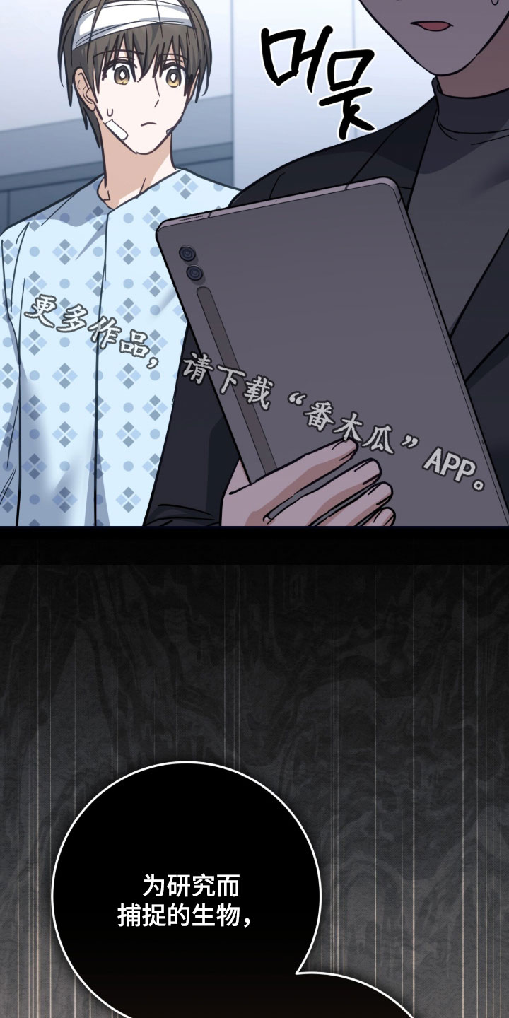 气息味道漫画,第63章：全部消失了1图