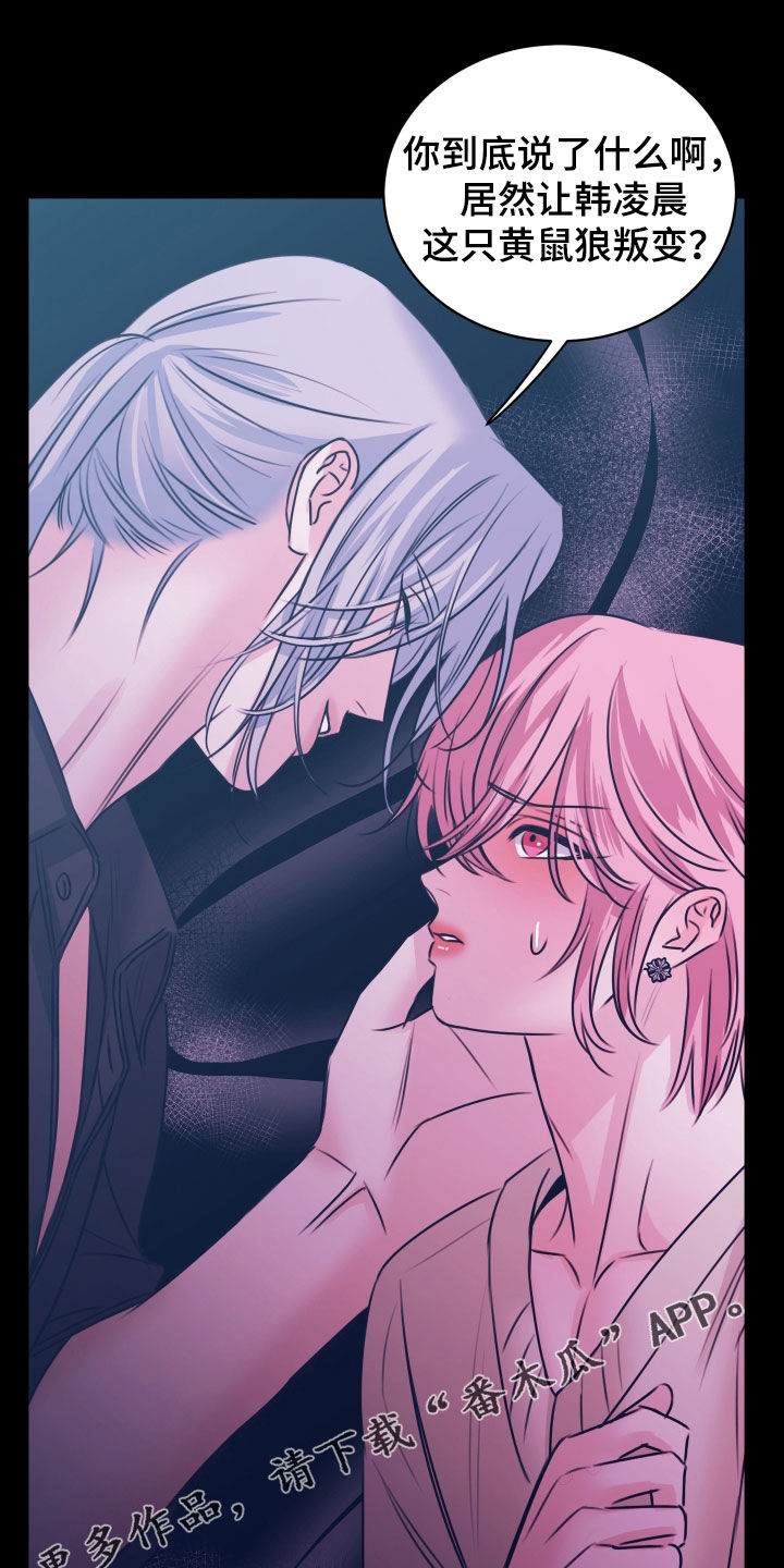 我是完美反派漫蛙叫什么漫画,第67章：发信号1图