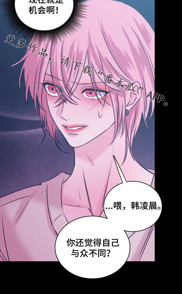 我是完美油葱宝宝漫画,第65章：现在就是机会1图