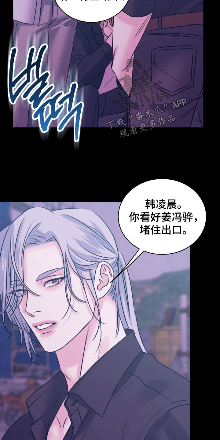 我是完美小搭档漫画,第65章：现在就是机会1图