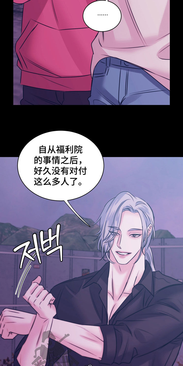 我是完美小搭档漫画,第65章：现在就是机会4图