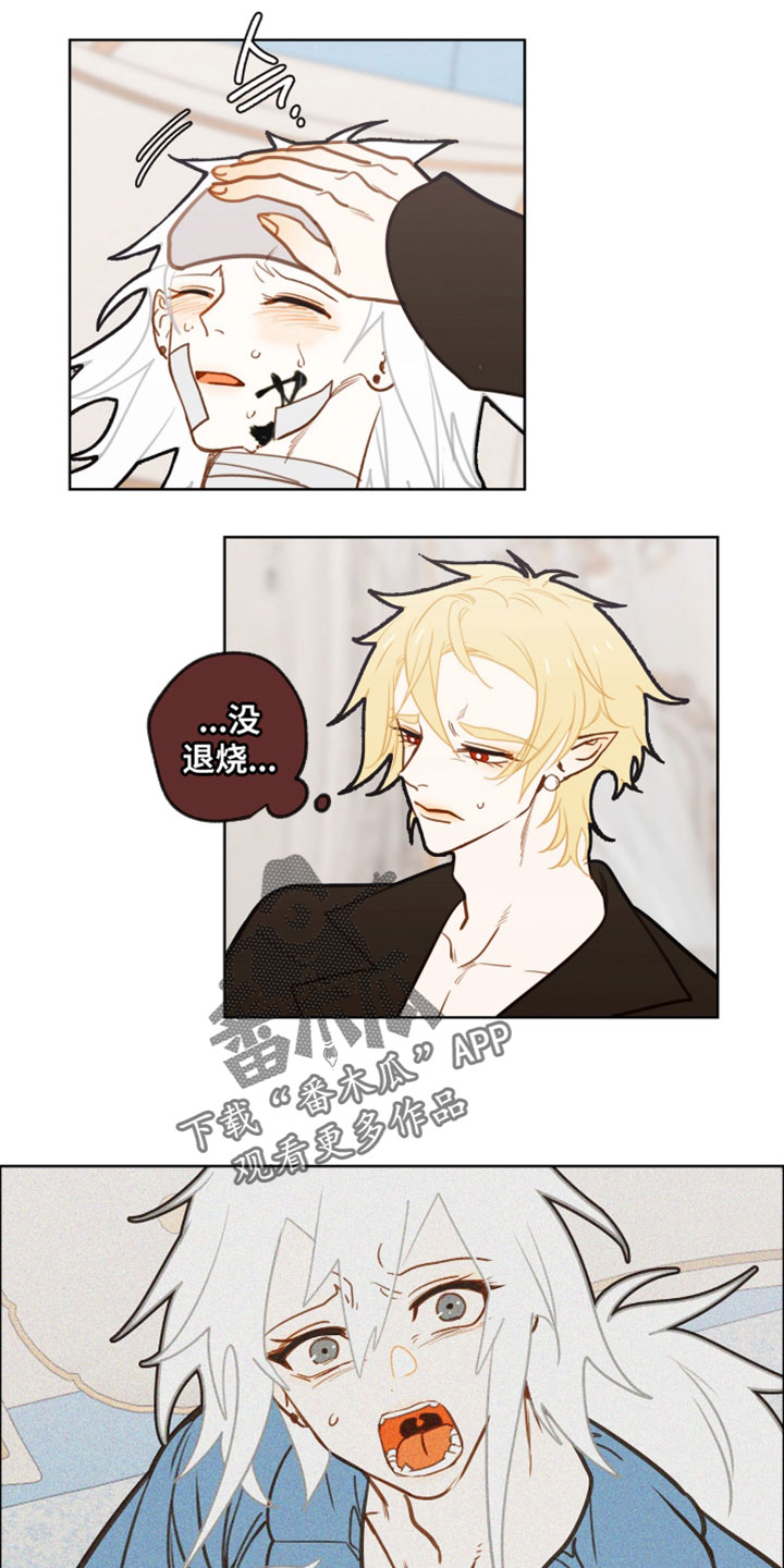 魔渊誓约漫画,第70章：难得一见1图