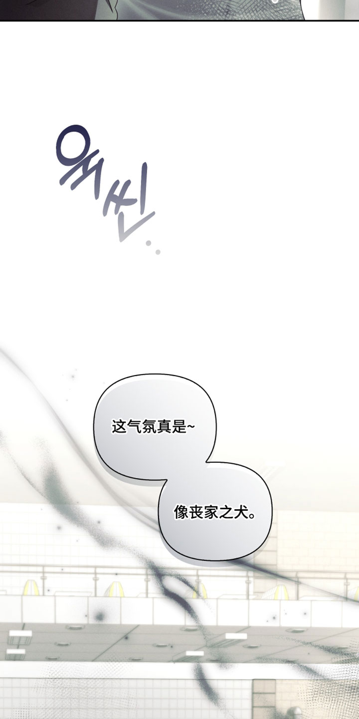 不锈钢漫画,第47章：丧家之犬3图