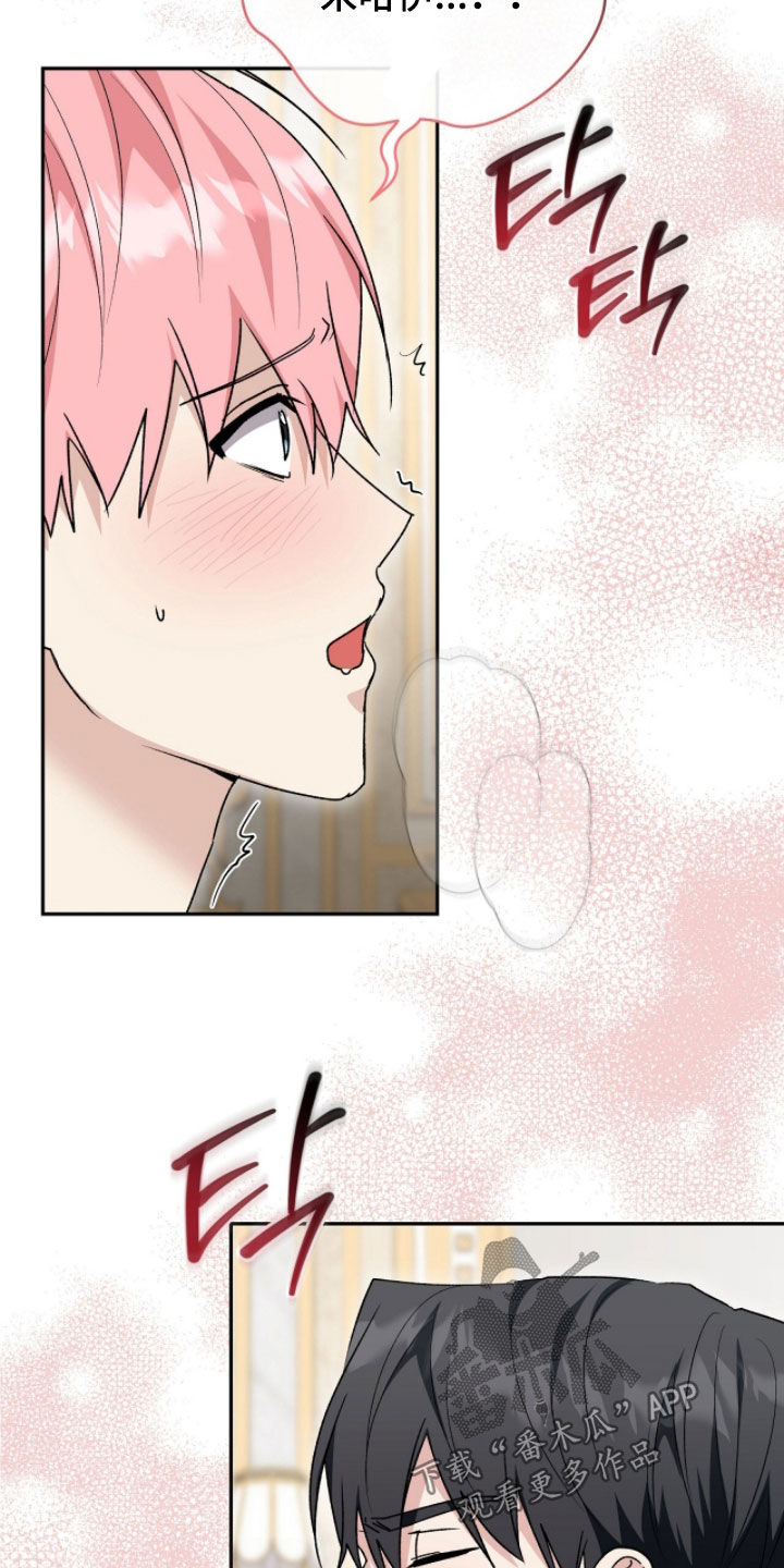 疯批大公的玩偶漫画全集免费观看下拉在线漫画,第116章：【番外】我不管5图