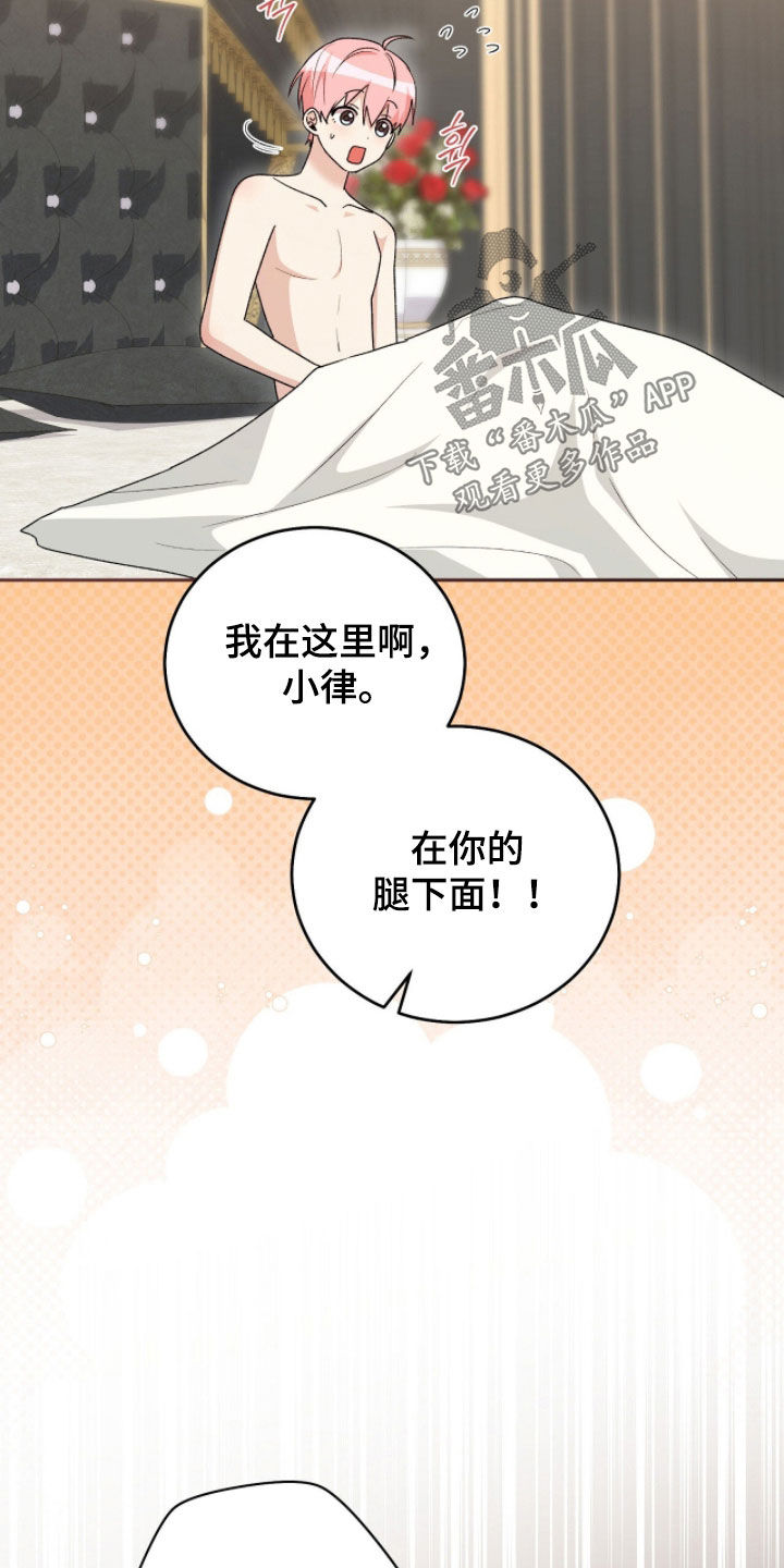 疯批大公的玩偶漫画免费下拉式漫画,第117章：【番外完结】我都爱他2图