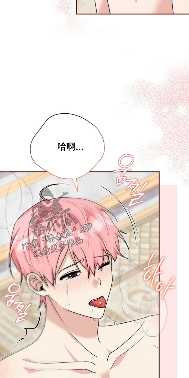 疯批大公的玩偶漫画全集免费观看下拉在线漫画,第116章：【番外】我不管1图