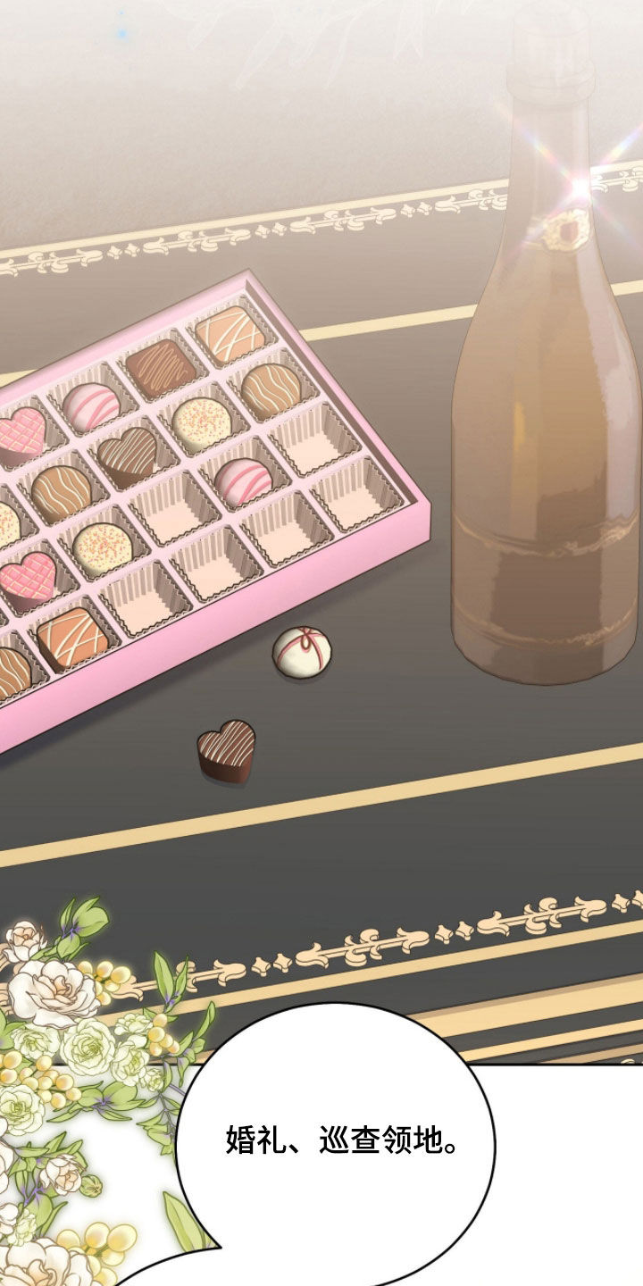 疯批大公的玩偶小说阅读漫画,第111章：【番外】巡查领地1图