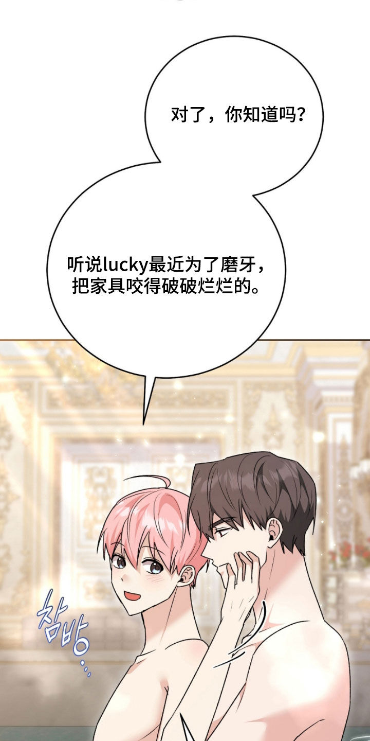 疯批大公的玩偶漫画全集免费观看下拉在线漫画,第116章：【番外】我不管4图