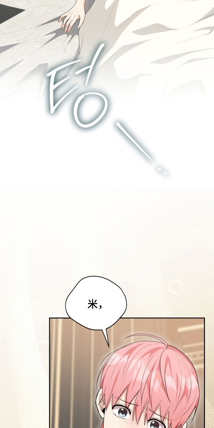 疯批大公的玩偶漫画免费下拉式漫画,第117章：【番外完结】我都爱他2图