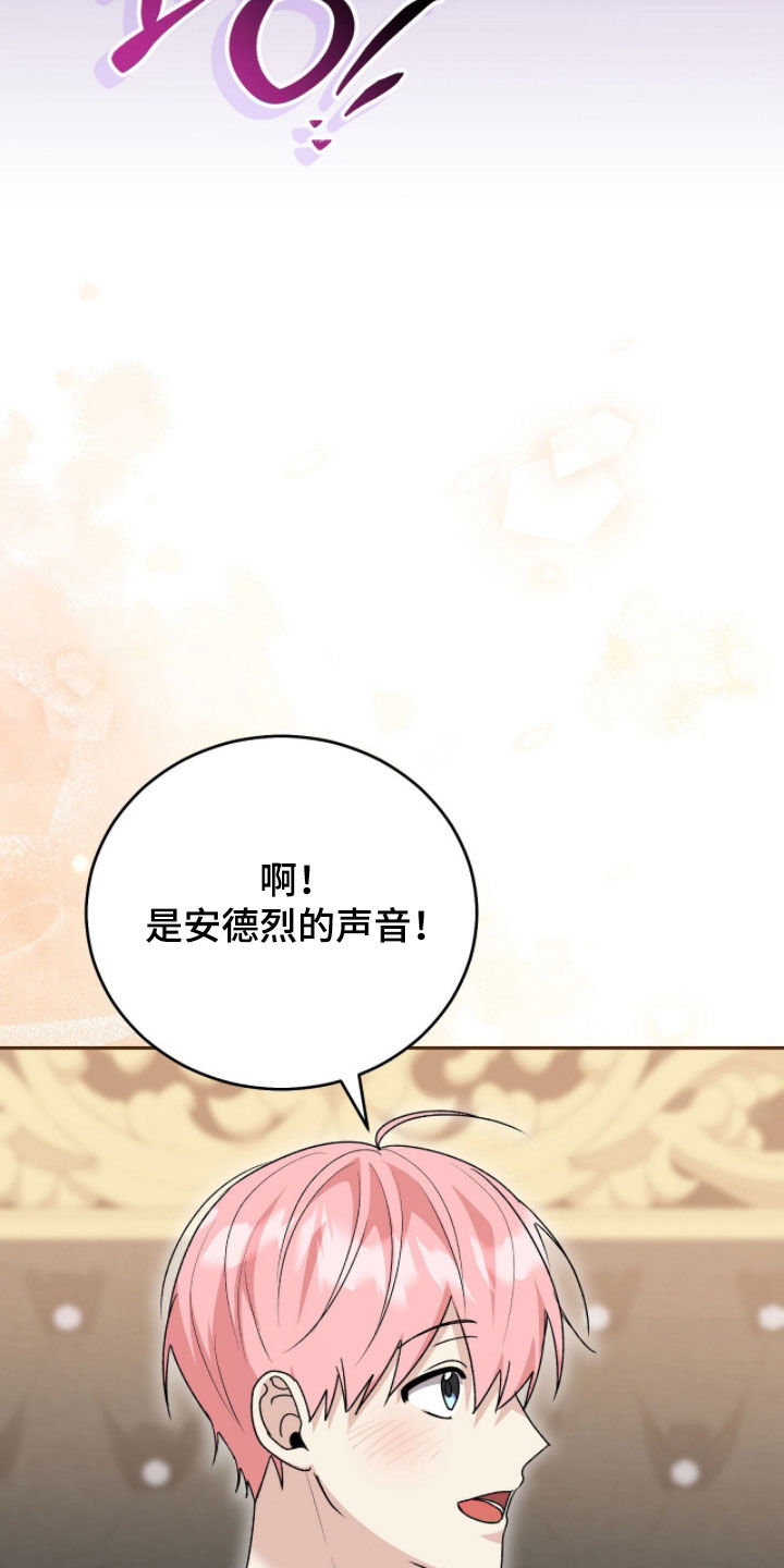 疯批大公的玩偶小说全文阅读漫画,第117章：【番外完结】我都爱他1图