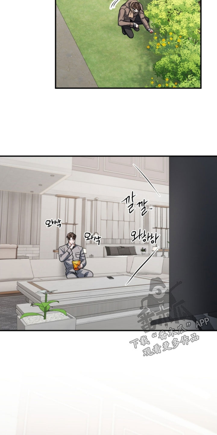 囚爱开端漫画后续漫画,第53章：你不要后悔1图