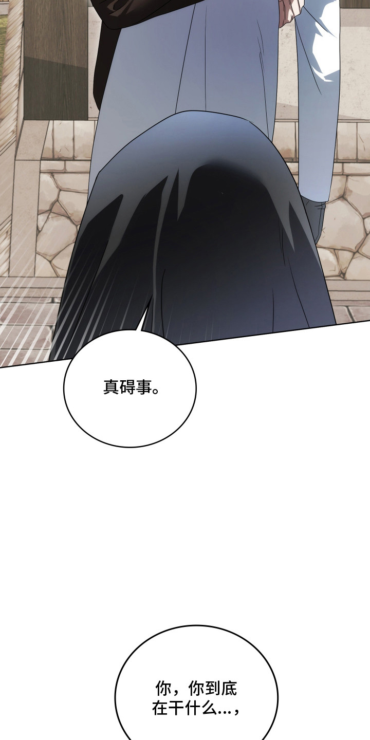 公爵和红双喜哪个好漫画,第44章：神秘人2图