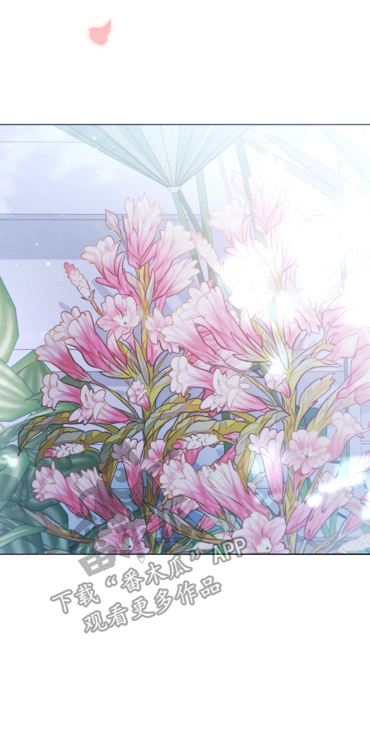 公爵300美利达漫画,第38章：躲过一劫3图