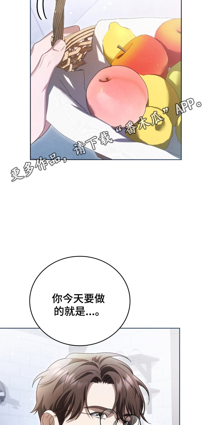 公爵情书韩文漫画,第40章：其他工作5图