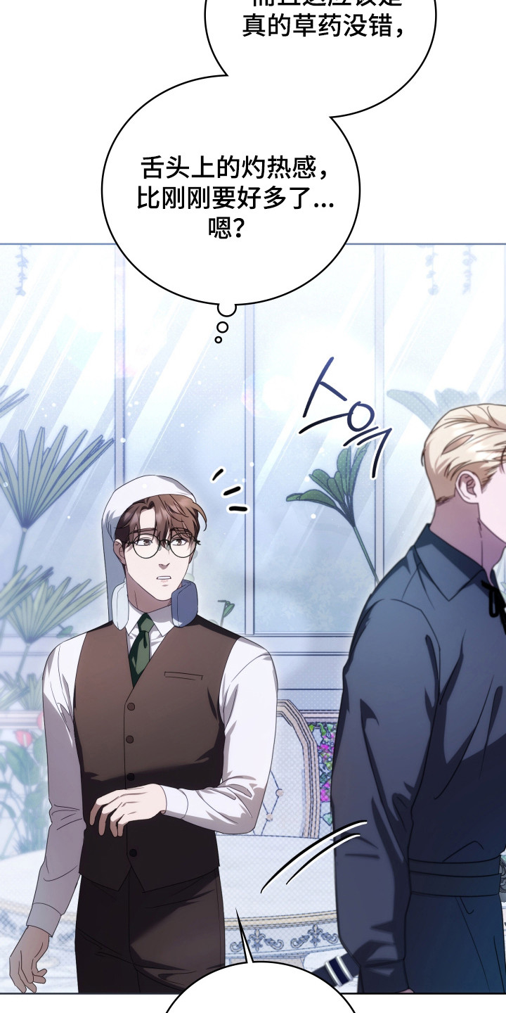 公爵和红双喜哪个好漫画,第37章：撒卢比亚1图