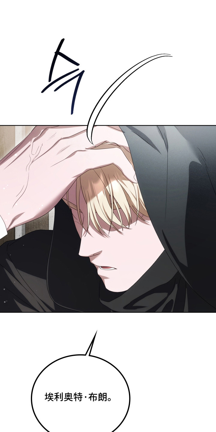 公爵和红双喜哪个好漫画,第44章：神秘人4图