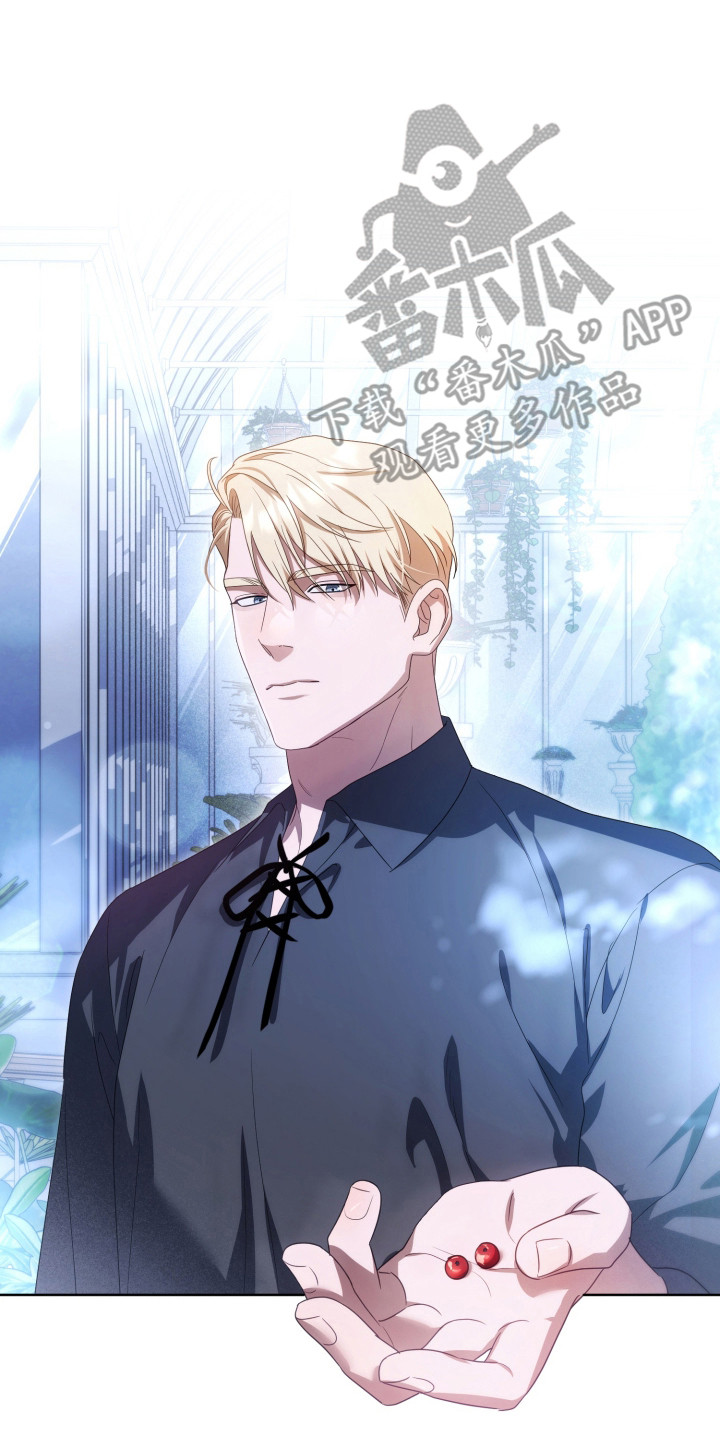 公爵和红双喜哪个好漫画,第37章：撒卢比亚3图