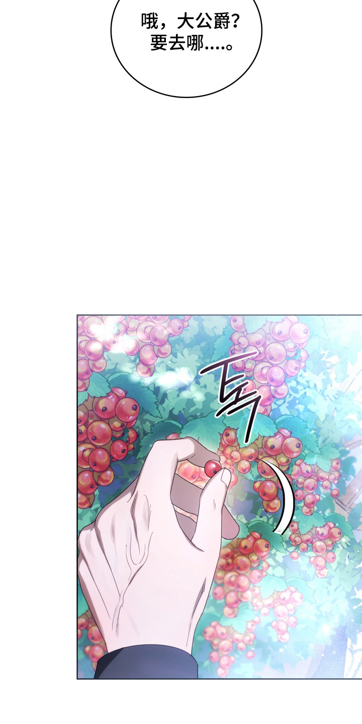 公爵和红双喜哪个好漫画,第37章：撒卢比亚2图