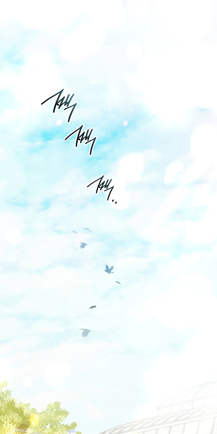 公爵情书小说介绍漫画,第39章：新的记录1图