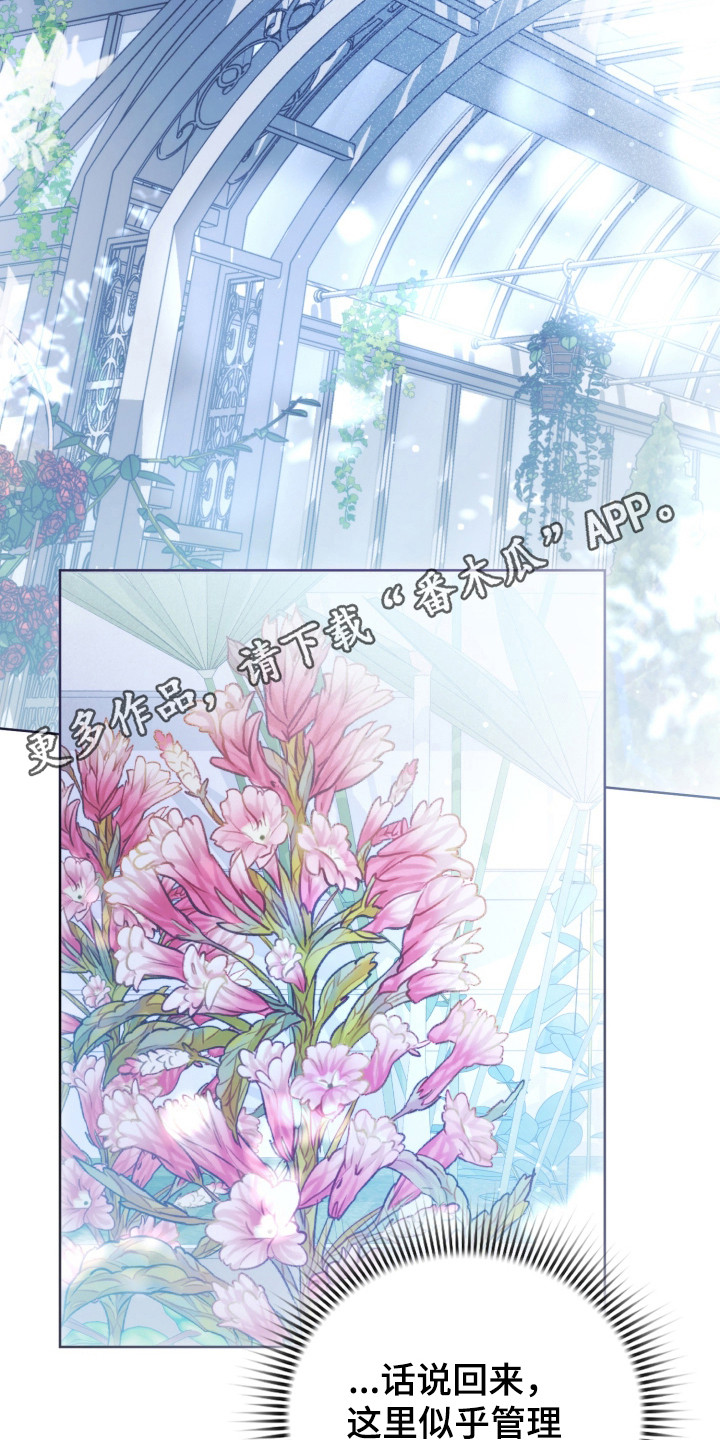 公爵情书韩文漫画,第38章：躲过一劫4图