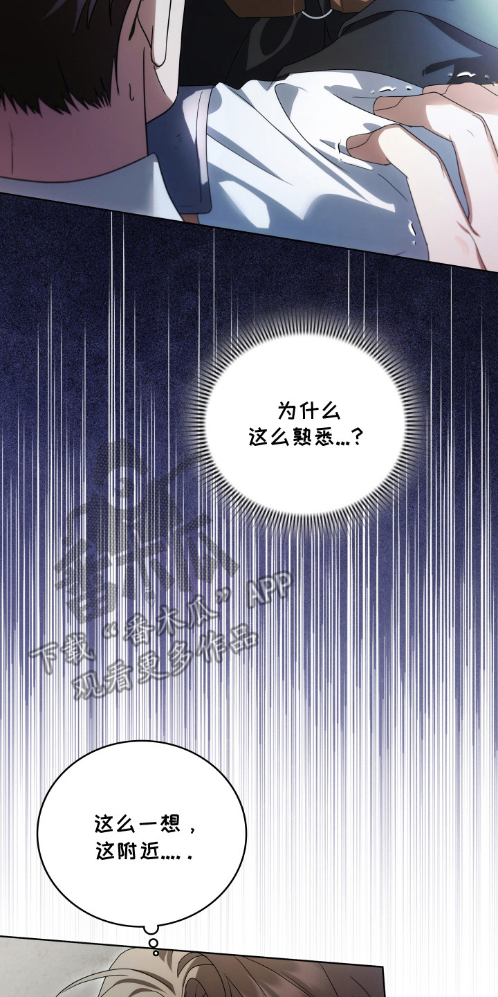 公爵和红双喜哪个好漫画,第44章：神秘人3图