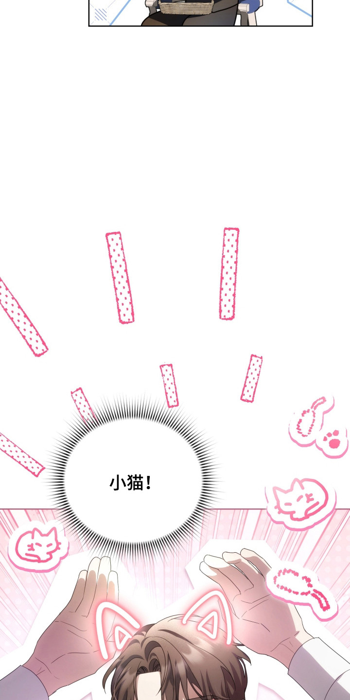 公爵情书韩文漫画,第40章：其他工作2图