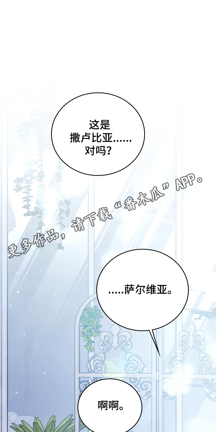 公爵和红双喜哪个好漫画,第37章：撒卢比亚5图