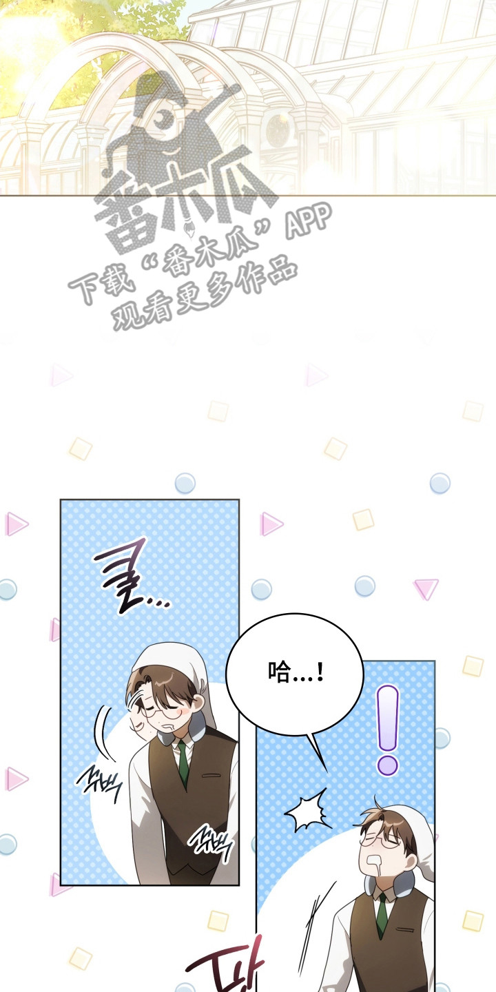 公爵情书小说介绍漫画,第39章：新的记录2图