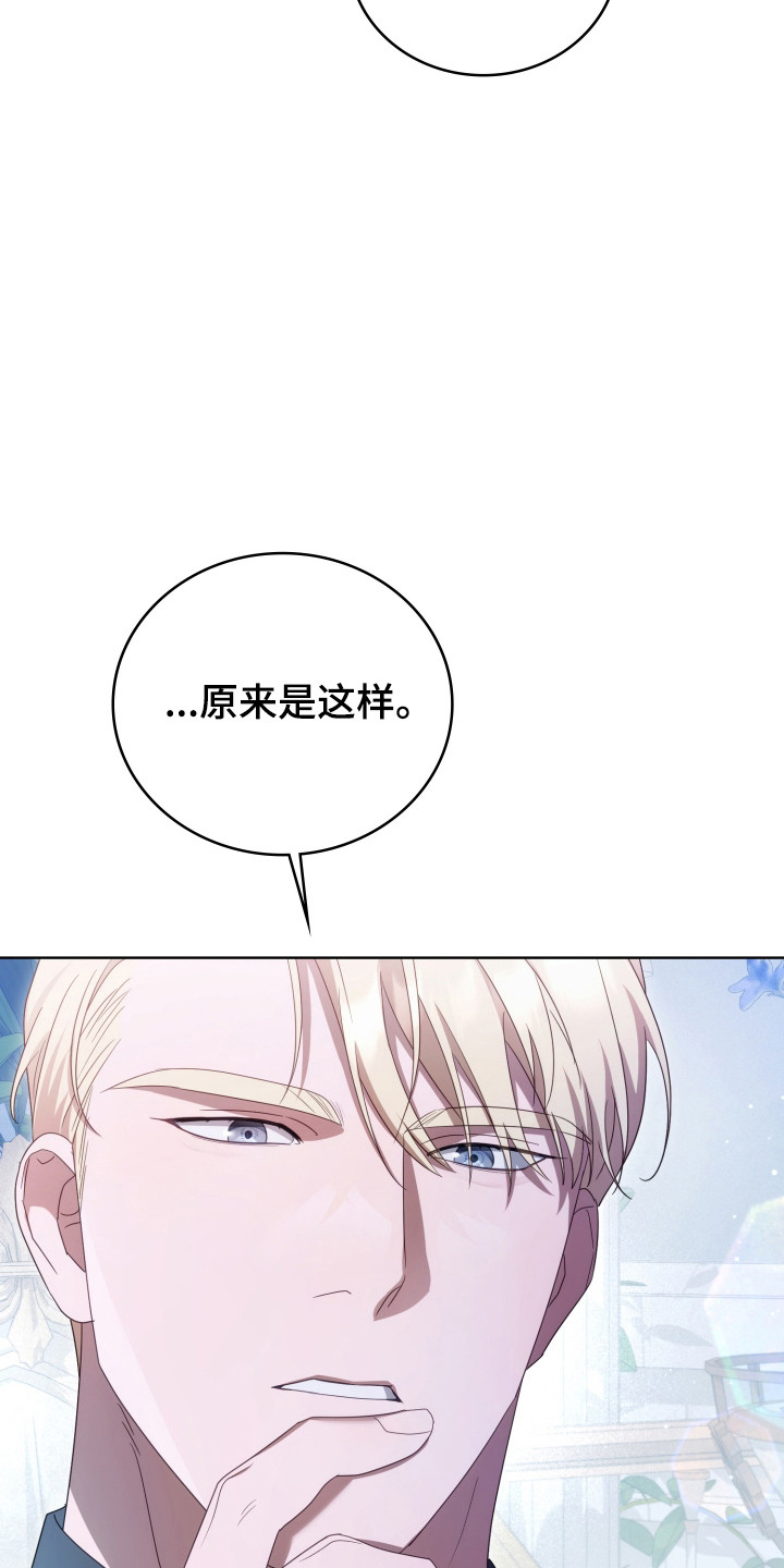 公爵和红双喜哪个好漫画,第37章：撒卢比亚3图