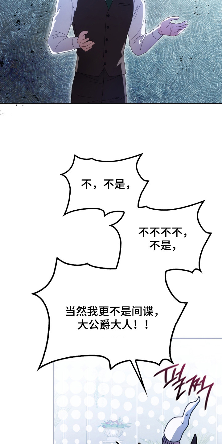 公爵和红双喜哪个好漫画,第37章：撒卢比亚5图