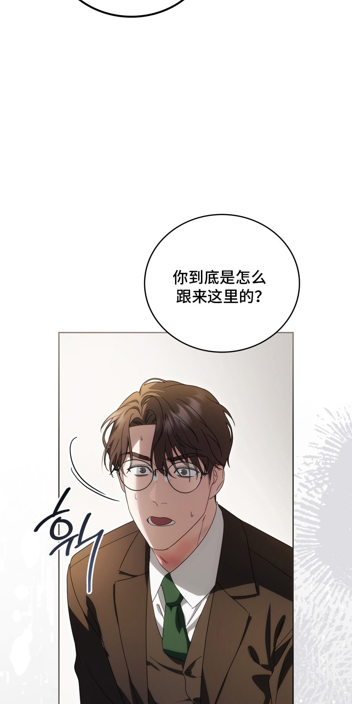 公爵和红双喜哪个好漫画,第44章：神秘人5图