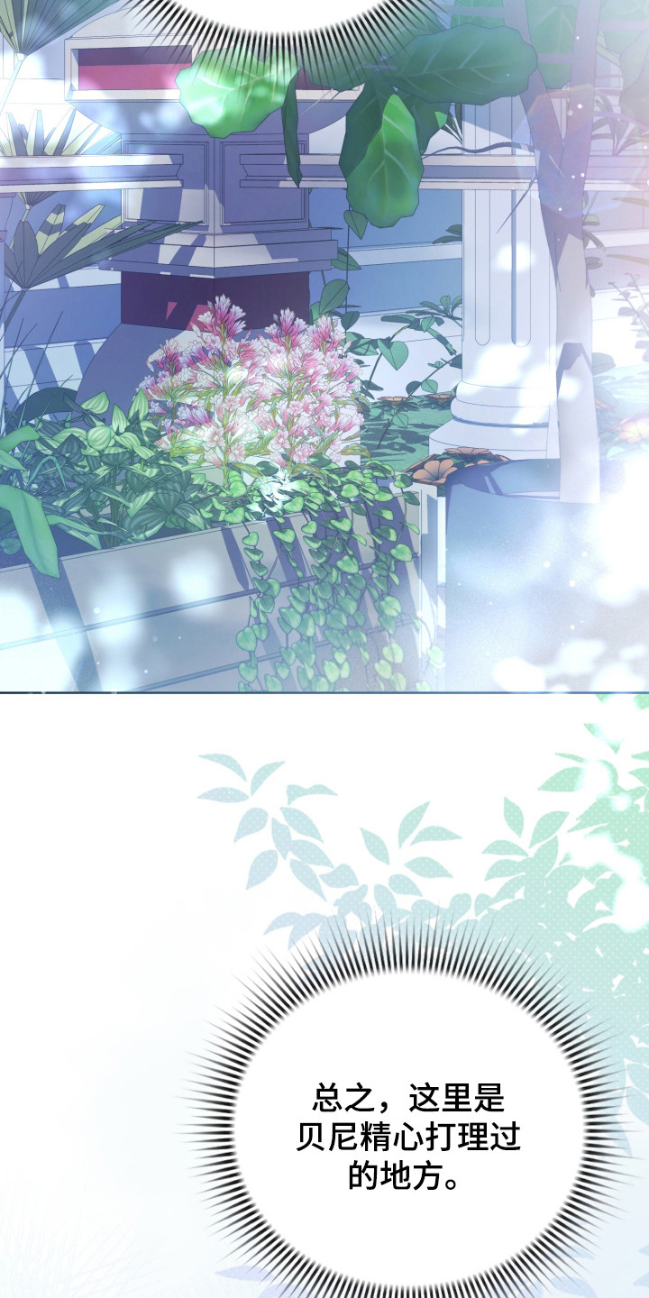 公爵和红双喜哪个好漫画,第37章：撒卢比亚1图