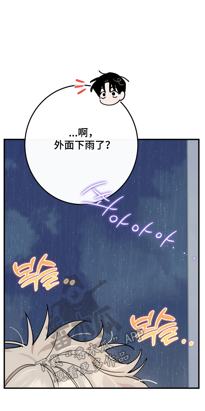 在我入睡前漫画,第29章：是真喜欢5图