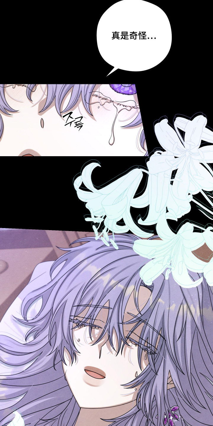 神离之日后漫画,第34章：真对不起5图