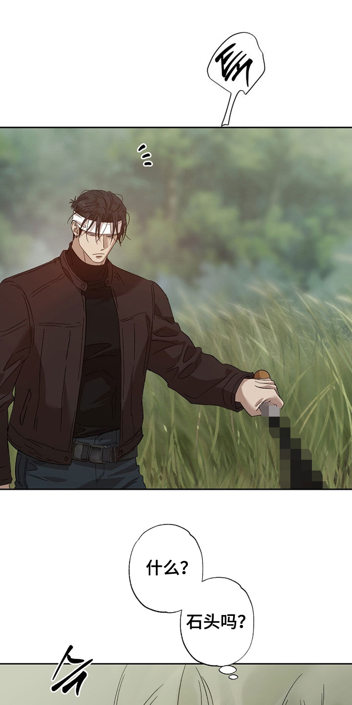 双生悲愿漫画免费漫画,第57章：人头3图