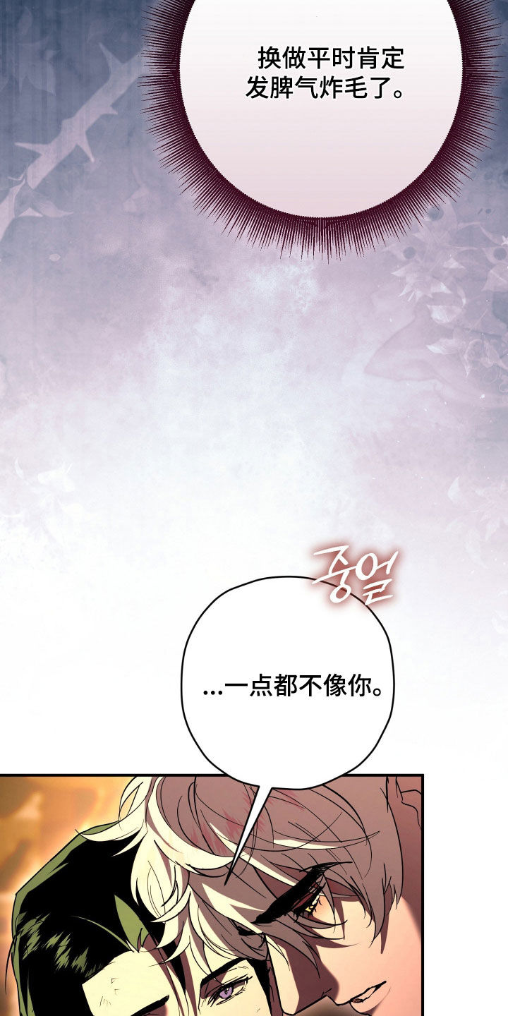 无间搭档漫画,第52章：秘密3图