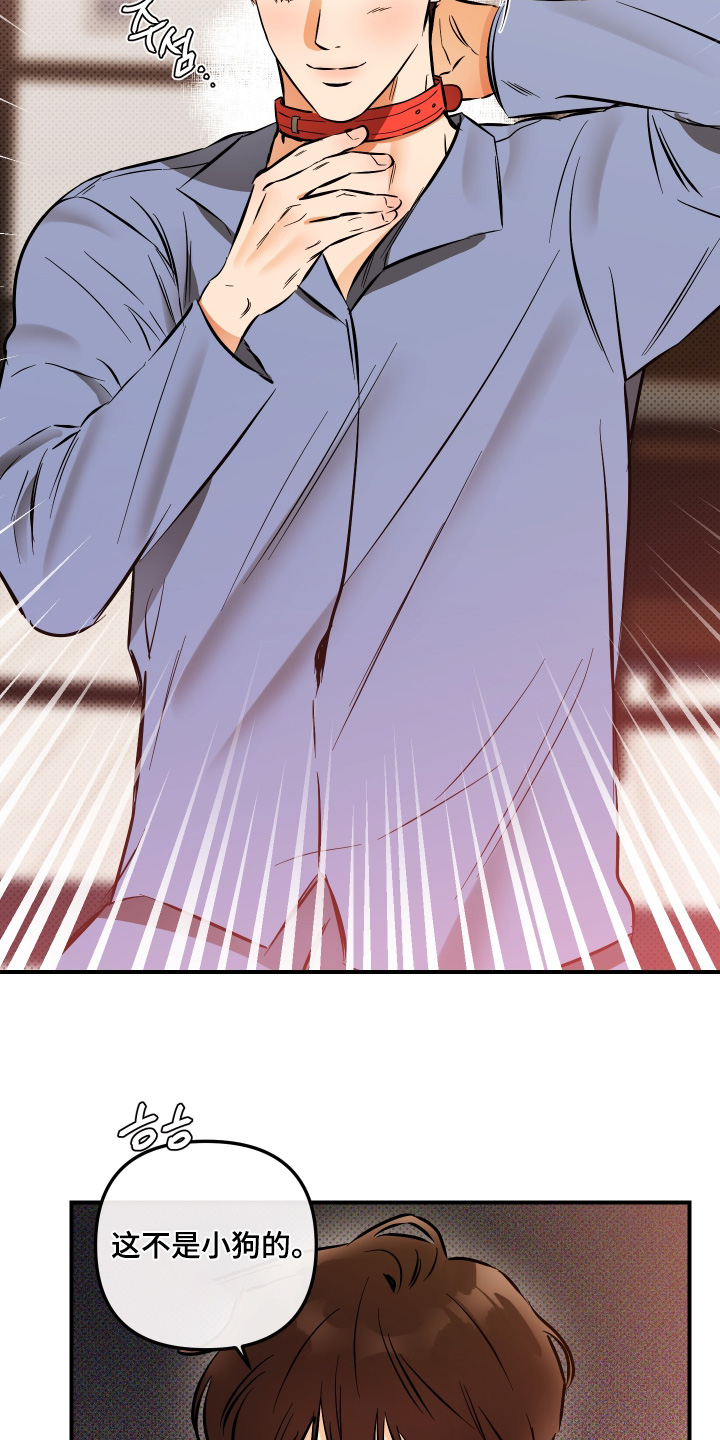 心动预警歌词漫画,第37章：要不要试试1图