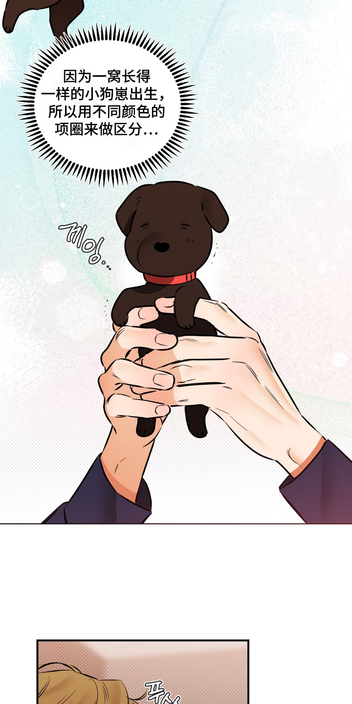 心动预警歌词漫画,第37章：要不要试试3图