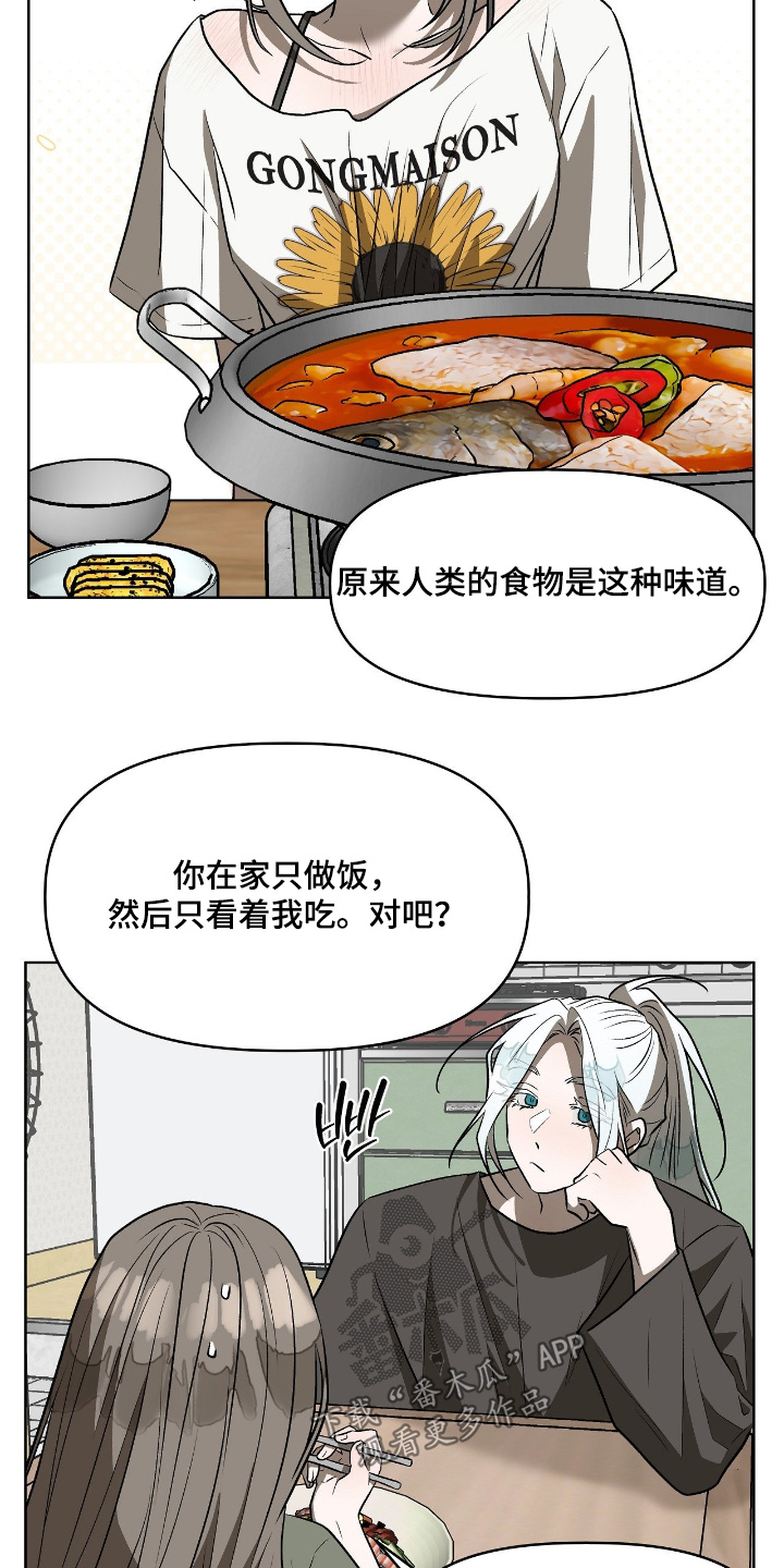 钓个人鱼当室友漫画,第46章：非常好吃1图