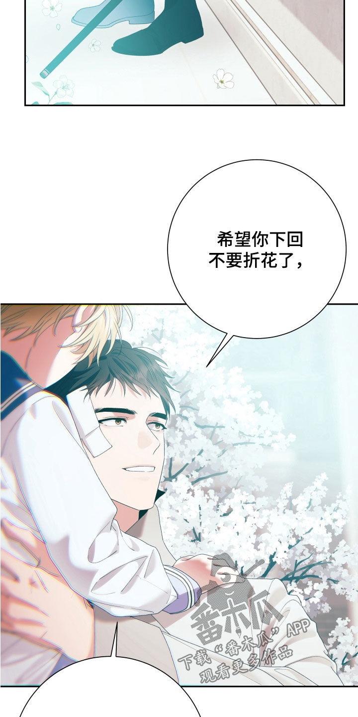 堕神谕是什么漫画,第37章：折花（完结）1图