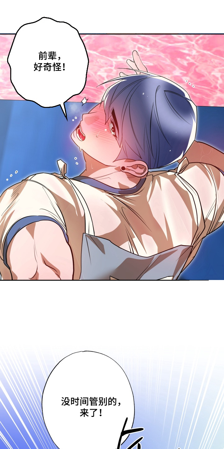 偶像竞技场漫漫画,第19章：通过1图