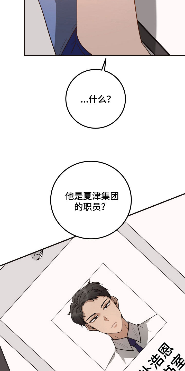 新鲜黄豆的做法漫画,第50章：暗中调查2图